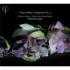 Herreweghe / Mahler: Symphony No. 4
