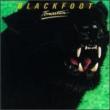 Tomcattin' Blackfoot