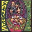 Acid Eaters Ramones