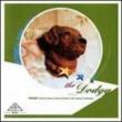 Dodgy Album