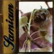 Samiam