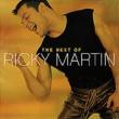The Best Of Ricky Martin