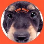 Dog -Sausage-dog
