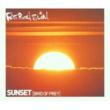Bird Of Prey: Sunset