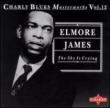 Sky Is Crying Elmore James