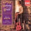 Guitar Concertos