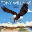 The Joy Of Flying Tony Williams