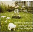 Songs For Polar Bears Snow Patrol