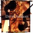 Best Of David Sanborn