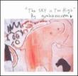 Sky Is Too High Graham Coxon