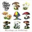 Mycology Allman Brothers Band
