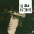 Waterboys (New Version)