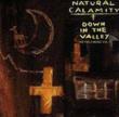 Down In The Valley