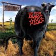 Dude Ranch