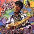 Legends Of Acid Jazz Gene Ammons