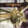 Firestarter -Tribute To The Prodigy