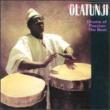 Drums Of Passion -Beat