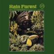 Rain Forest: �T�}�[ �T���o