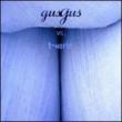 Gus Gus Vs T-world
