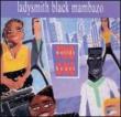 Two World One Heart Ladysmith Black Mambazo