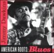 American Roots -Blues