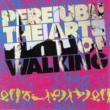 Art Of Walking