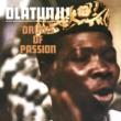 Drums Of Passion (Remastered)