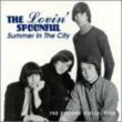 Summer In The City