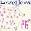 Hello Pig