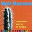 Cactuses Come In The Flocks