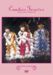 Candies Forever The Final Concert April 4th 1978