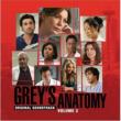 Grey's Anatomy: Vol.2