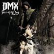 Year Of The Dog...again