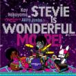 Stevie Is Wonderful, More!