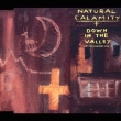 Down In The Valley