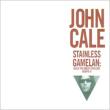 Inside The Dream Syndicate 3: Stainless Gamelan