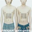 Freeway High High