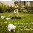 Songs For Polar Bears