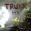 Trunk