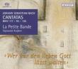 Cantata.93, 135, 177(Vol.2): S.kuijken / La Petite Bande Etc