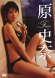 Fumina