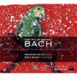 Violin Sonatas: Amandine Beyer(Vn)Edna Stern(P) Bach, C. P. E. (1714-1788)