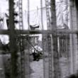 Chaos And Creation In The Backyard�yCopy Control CD�z