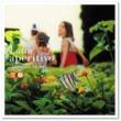 Latin Aperitivo -Brazilian Blend-