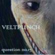 Question No.13