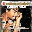 Reggae Anthology -Music Is The Rod