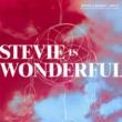 Stevie Is Wonderful