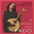 �t�@�h�̋M�w�l-�Ⴋ���̃A�}���A�@a Dama Do Fado