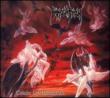 Dawn Of Possession