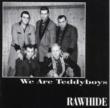 We Are Teddy Boys